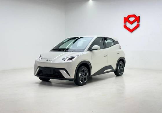 BYD DOLPHIN MINI 38 KW ELÉTRICO GS